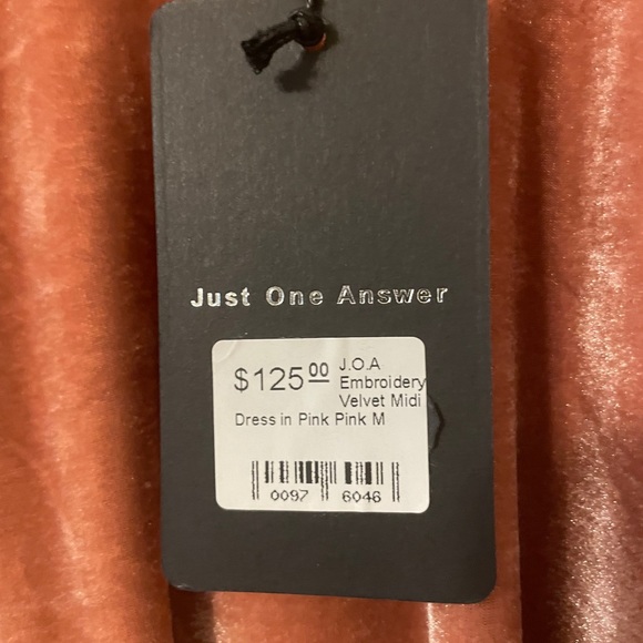 NWT J.O.A. Embroidered Velvet Midi Dress - Picture 13 of 14
